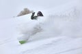 Snowboarding in fresh powder snow