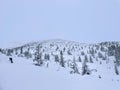 Snowboarding skiing ski trail. Winter sport powder day. Winter pine trees covered with snow in the woods. Christmas tree forest. Royalty Free Stock Photo