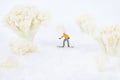 Snowboarding toy man Royalty Free Stock Photo