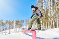 Snowboarding Tricks Royalty Free Stock Photo