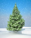 Snowbound Christmas firtree