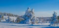 mountain plateau forest at winter day Royalty Free Stock Photo