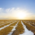 snowbound ploughland at the sunset