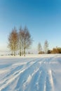 Snowbound road.