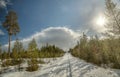 Snowbound road near Granbergsliden in Vasterbotten, Sweden