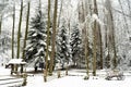 Snowbound winter forest with elements of wooden decoration - shed, cart and fence. Open air museum in Lviv Royalty Free Stock Photo