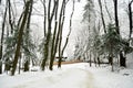 Snowbound winter forest with elements of wooden decoration - timbered cottage and fence. Open air museum in Lviv Royalty Free Stock Photo