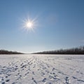 Snowbound winter plain at the sunny day