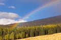 Snowbowl with a pine forest, aspens changing color and a rainbow