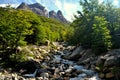 Snowbreak water in Torres del Paine Royalty Free Stock Photo