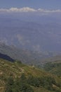 snowcapped himalaya (mount kangchenjunga) mountain village, terrace farming on slopes of himalayan foothills