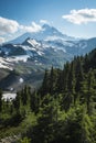 Snowcapped Mount Baker, Ptarmigan Ridge, Washington state Cascades