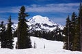 Snowcapped Mount Rainier Royalty Free Stock Photo