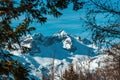 Snowcapped mountain peak of Julian Alps seen through tree branches in winter