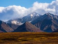 Snowcapped Mountain Peak Rising Above Autumn Tundra, Denali National Park Royalty Free Stock Photo