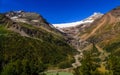 Snowcapped mountains in the Bernina range from Alp Grum in summer