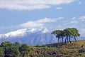 Snowcapped mountains and trees in Spain