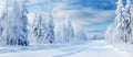 Snowcovered forest with icy trees, a road under electric blue sky Royalty Free Stock Photo