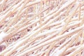 Snowcovered reed texture