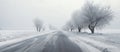 Snowcovered road with trees lining the asphalt, under a foggy sky Royalty Free Stock Photo