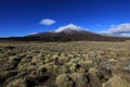 Snowcovered Volcano Tromen, Argentina