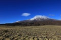 Snowcovered Volcano Tromen, Argentina