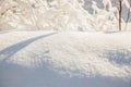 Snowdrift in the forest on a clear sunny day. Snow texture Royalty Free Stock Photo