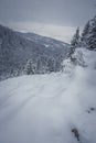 Snowdrift on a hiking trail, Tatra Mountains Royalty Free Stock Photo