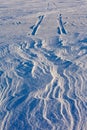 Snowdrift and tire tracks