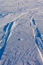 Snowdrift and tire tracks