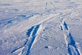 Snowdrift and tire tracks