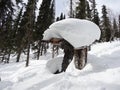 Snowdrift at top of the tree stump Royalty Free Stock Photo