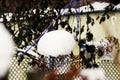 Snowdrift on wire fence post in blurred garden with weathered brown plants and trees on a background Royalty Free Stock Photo