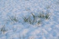 snowdrifts. snow lying on the meadow