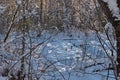 Snowdrifts in the swamp Royalty Free Stock Photo