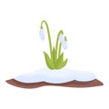 Snowdrop bouquet icon cartoon vector. Spring flower