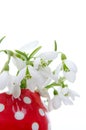 Snowdrop flower