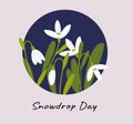 Snowdrop flower background in a round frame. First spring flowers. Snowdrop on a circle. Royalty Free Stock Photo