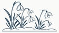 Snowdrop flowers blooming, spring blossoms, delicate flowers and new beginnings vector design Generative AI
