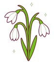 Snowdrop flowers cute simple drawing