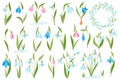 Snowdrop flowers flat icons set. Blossom of spring plant. Colorful season flowering of crocus. Flower parts Royalty Free Stock Photo