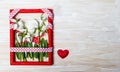 Snowdrop flowers in a red photo frame Royalty Free Stock Photo