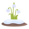 Snowdrop leaf icon cartoon vector. Snow flora