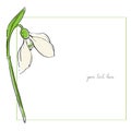 Snowdrop minimal card