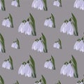 Snowdrop seamless pattern