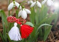 Snowdrop spring flowers with martenitsa. Baba Marta day Royalty Free Stock Photo