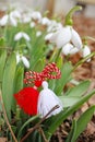 Snowdrop spring flowers with martenitsa. Baba Marta day Royalty Free Stock Photo