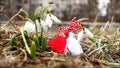 Snowdrop spring flowers with martenitsa - no music