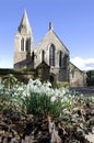 Snowdrops Royalty Free Stock Photo