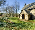 Snowdrops in a churchyard Royalty Free Stock Photo